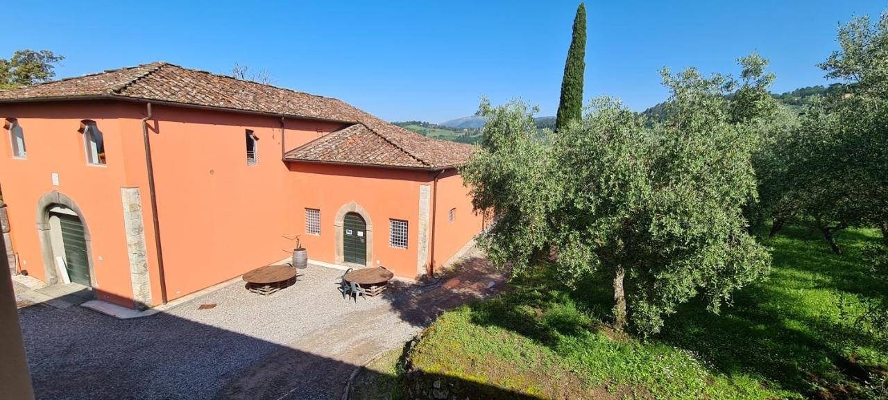 Agriturismo Villa Sardini ลุคคา ภายนอก รูปภาพ