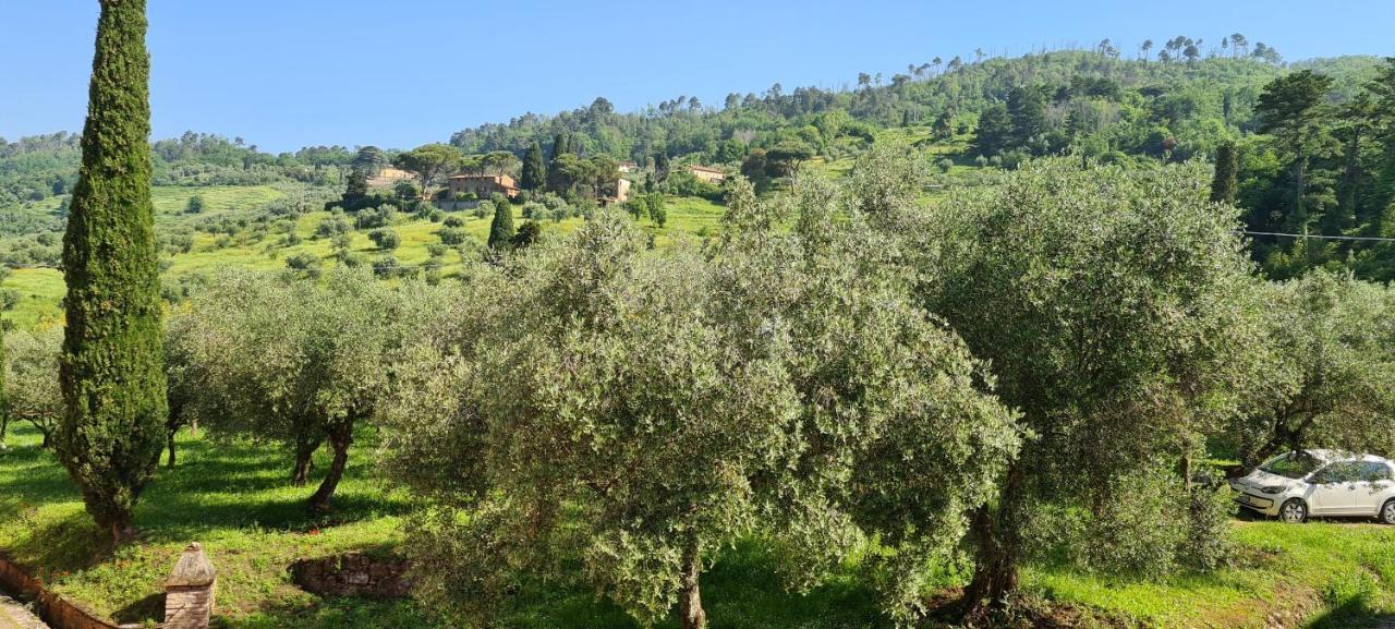 Agriturismo Villa Sardini ลุคคา ภายนอก รูปภาพ