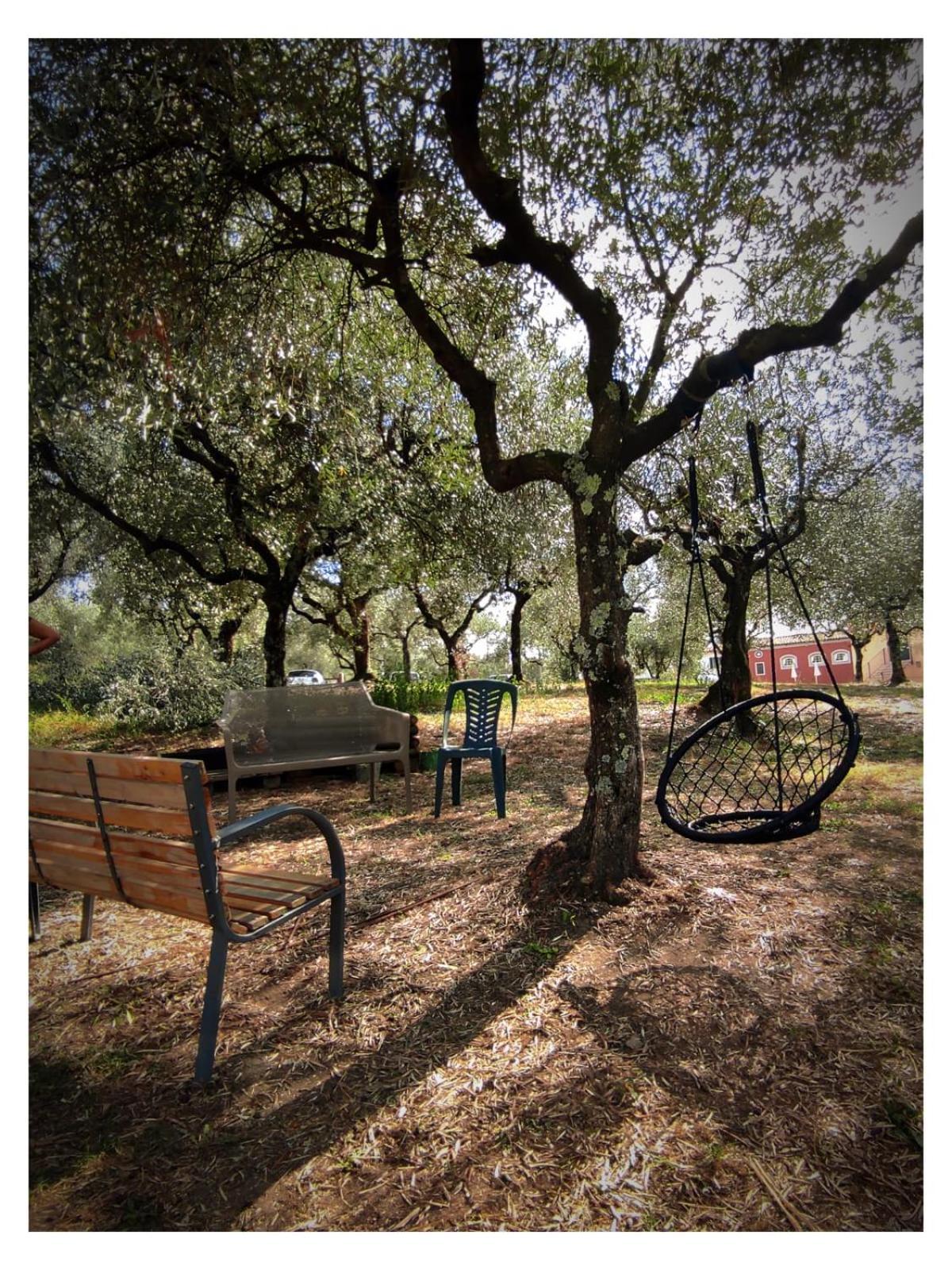 Agriturismo Villa Sardini ลุคคา ภายนอก รูปภาพ
