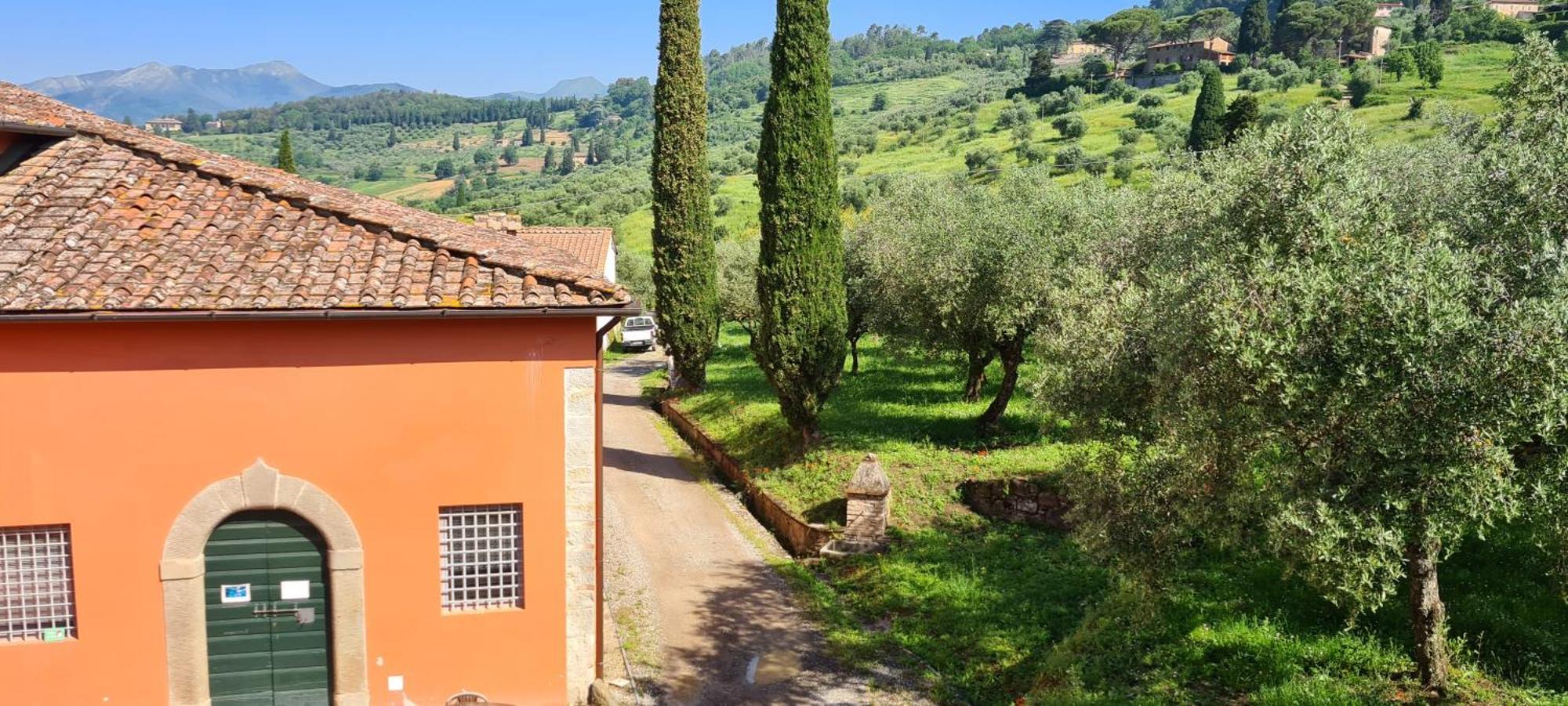 Agriturismo Villa Sardini ลุคคา ภายนอก รูปภาพ